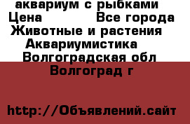 аквариум с рыбками › Цена ­ 1 000 - Все города Животные и растения » Аквариумистика   . Волгоградская обл.,Волгоград г.